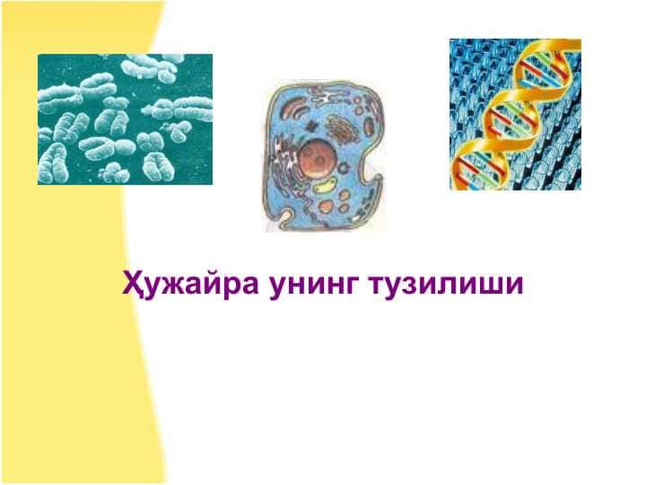 xужайра унинг тузилиши