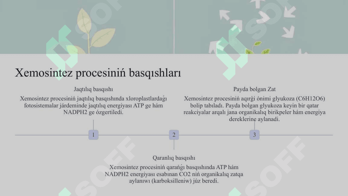 Xemosintez procesi 7