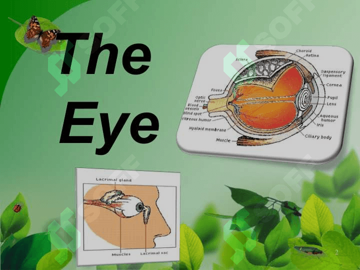 The Eye 2