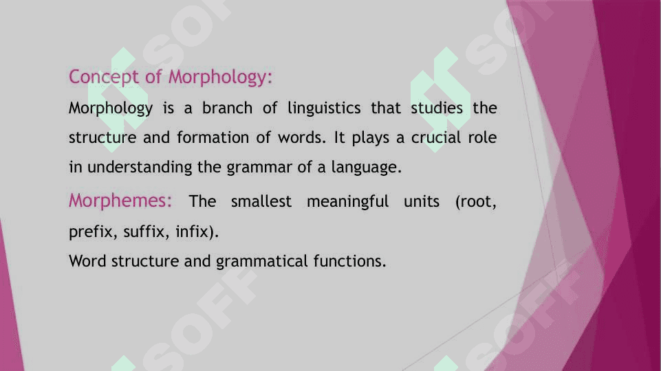 Morphological Typology of Foreign Language and Native Language 2