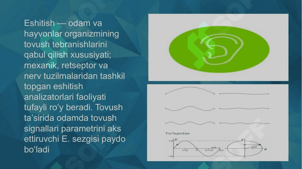 SEZGI HAQIDA TUSHUNCHA 6