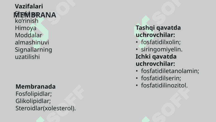 Hujayra membranasi 2