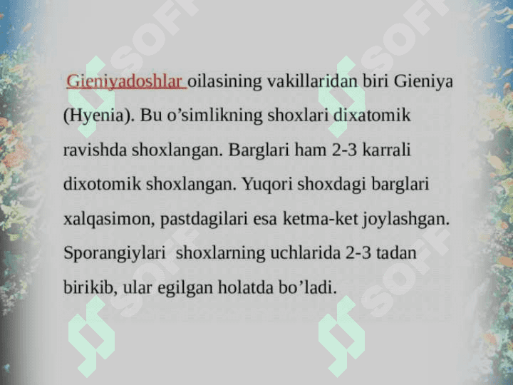 Qirqbo’g’imdoshlar oilasi. 7