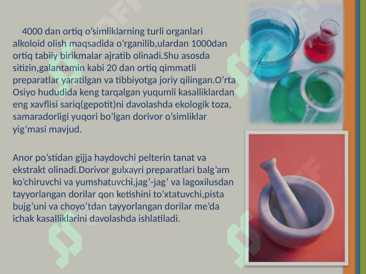 O’zbekistonning foydali o’simliklari. 6