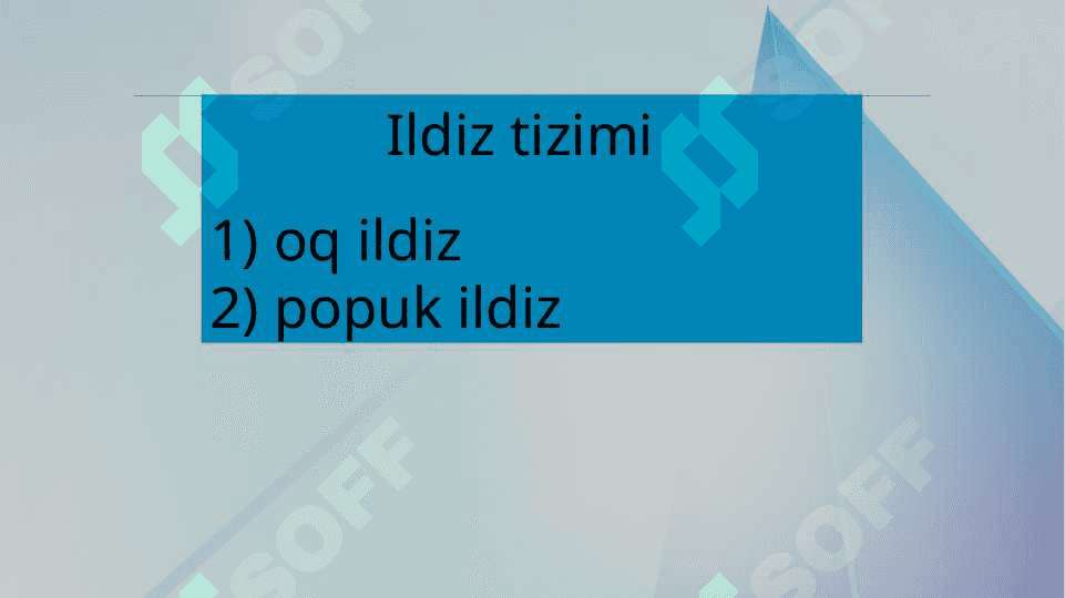 O'simlik ildiz tizimi,turlari, tuzilishi, funksiyasi, embrional rivojlanishi, faoliyati va ahamiyati 2