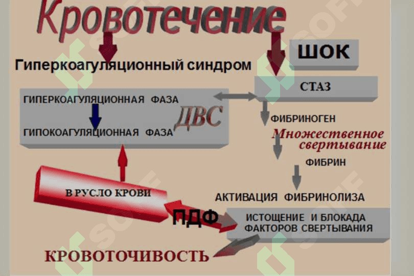 двс синдроми 8