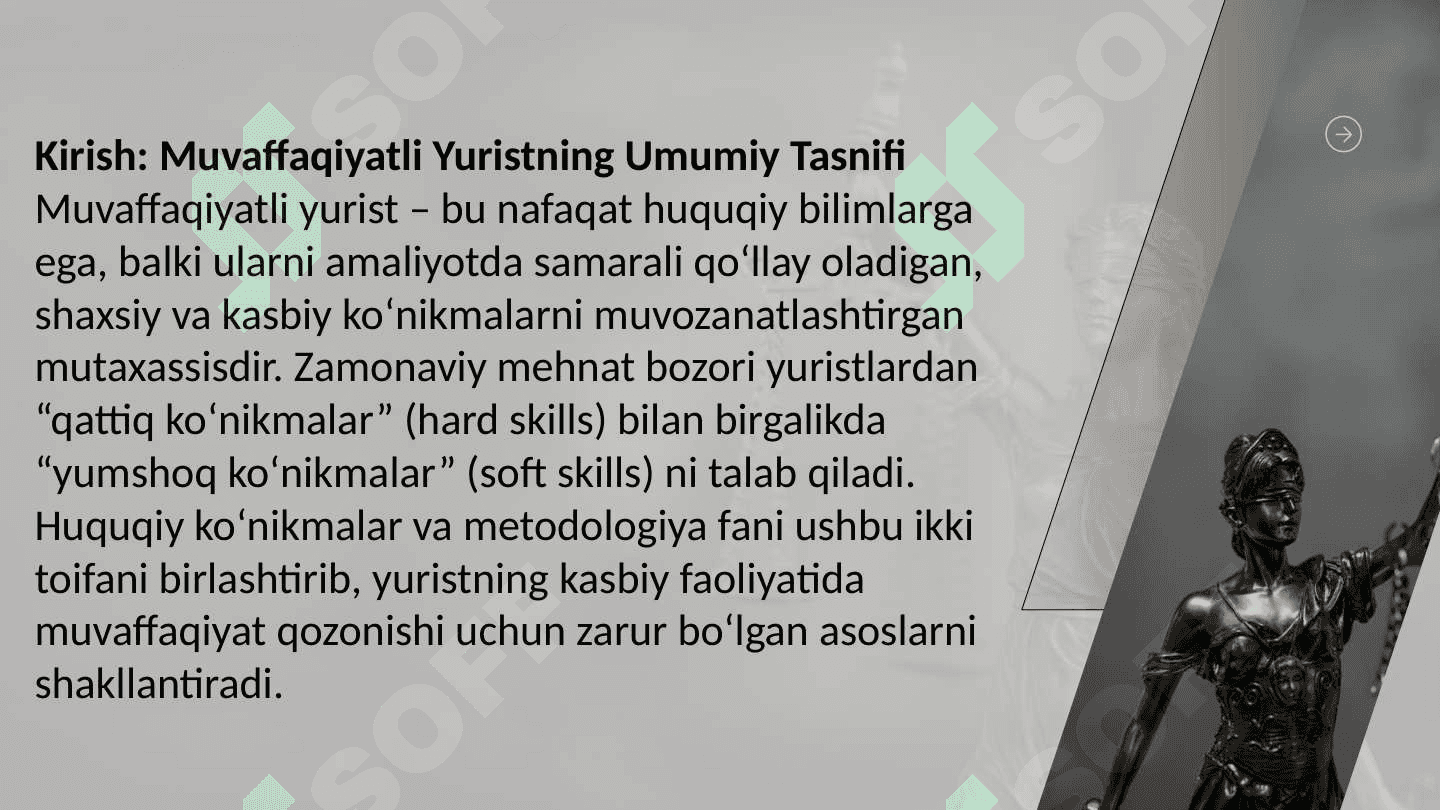 Muvaffaqiyatli Yurist 3