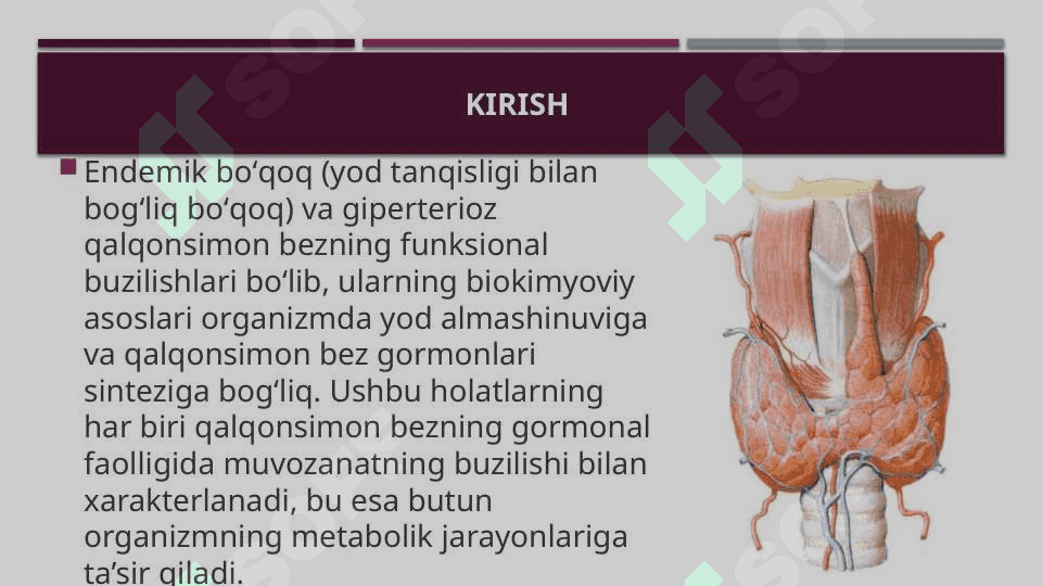 Endemik boʻqoq va giperterioz 2