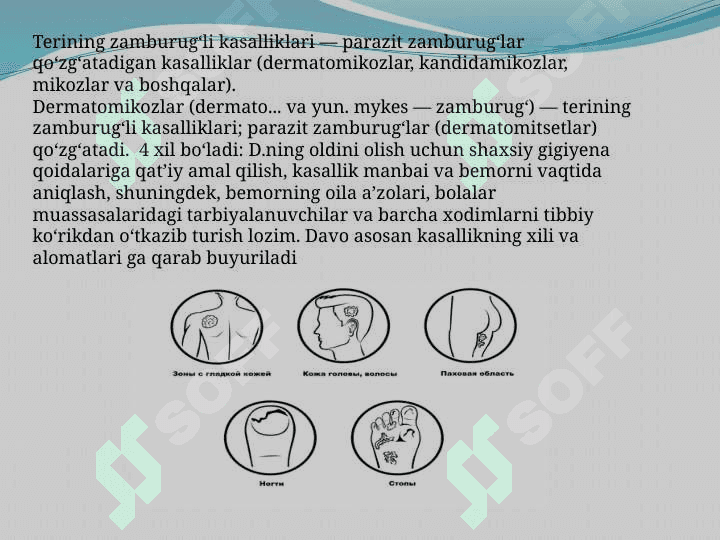 Teri zamburugli kasalliklari 2