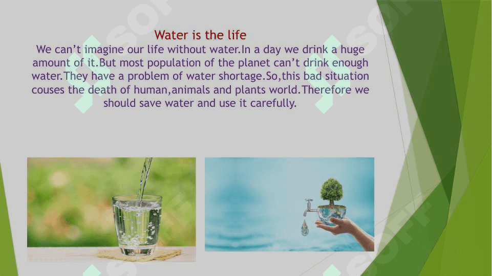 ECOLOGY 3