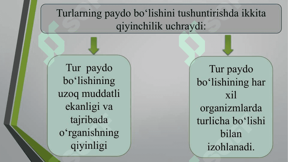 “Turlarning paydo bo`lishi.” 5