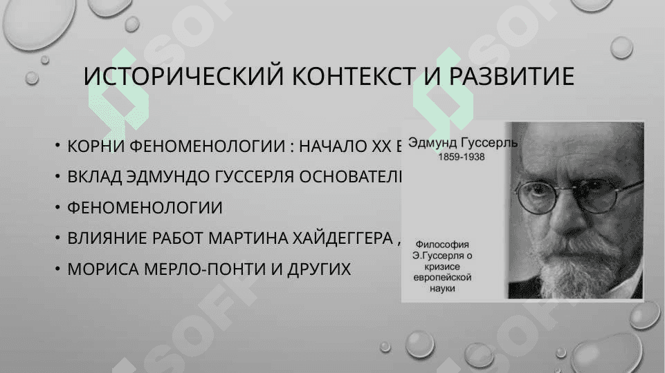Феноменология 3