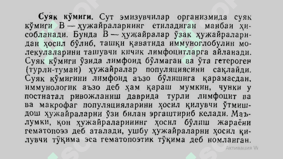 Суяк кўмиги унинг тузилиши. 2