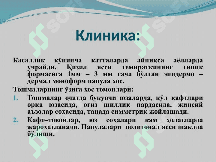 Qizil yassi temiratki . Қизил ясси темиратки 4