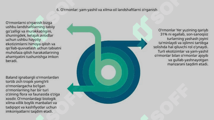 Yer yuzi landshaft turlari 8