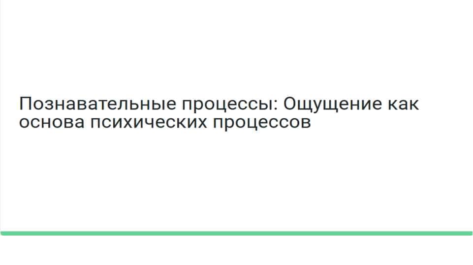 Познавательные процессы