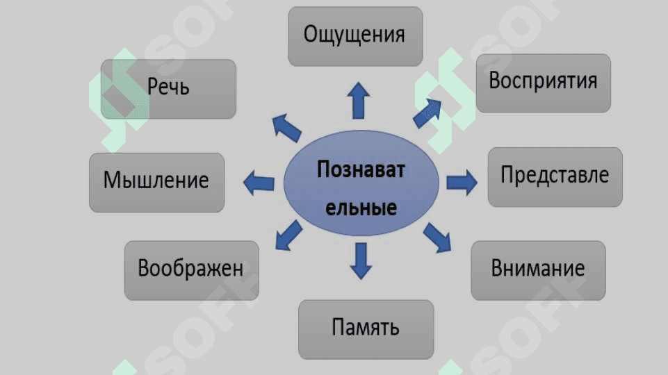 Познавательные процессы 4