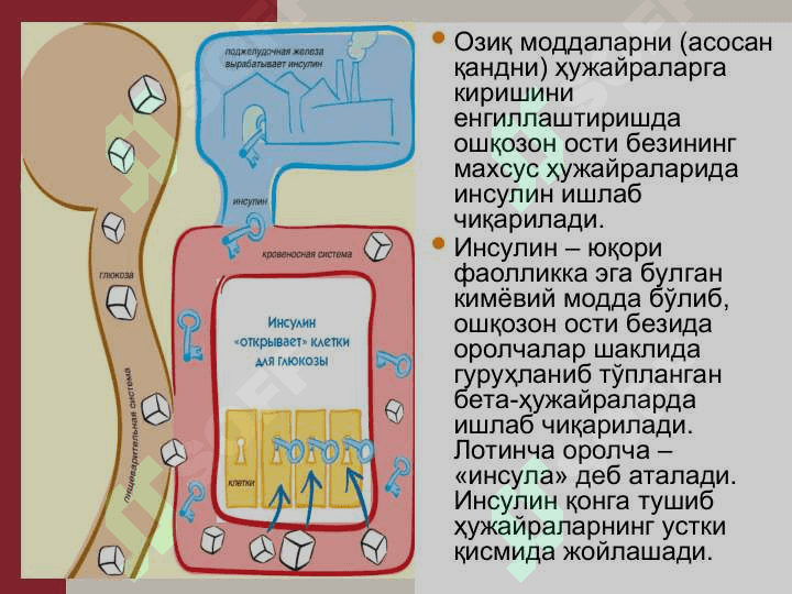 Қандли диабет нима? 4