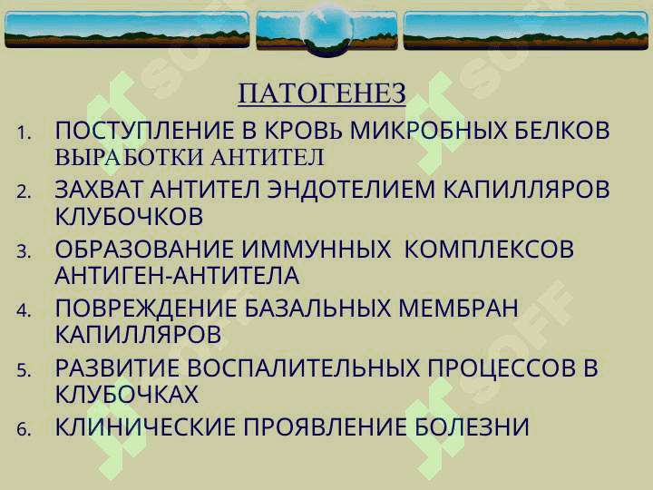 ГЛОМЕРУЛОНЕФРИТЫ 8
