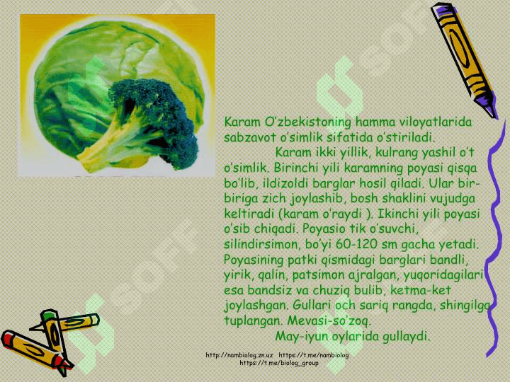 Karamdoshlar  oilasi 7