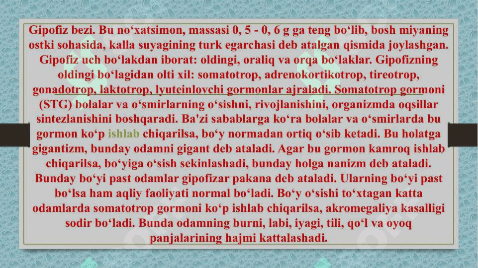 Endokrin bezlari 2