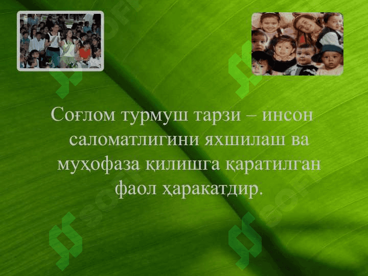 Жисмоний тарбия ва спорт 3