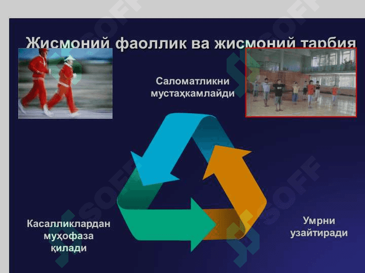 Жисмоний тарбия ва спорт 4
