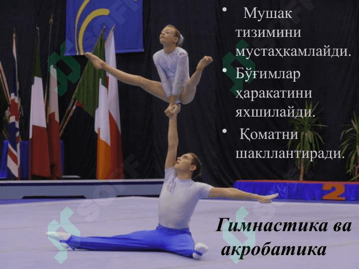 Жисмоний тарбия ва спорт 8