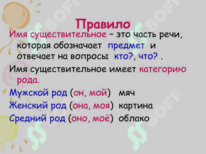 Род имён существительных 2