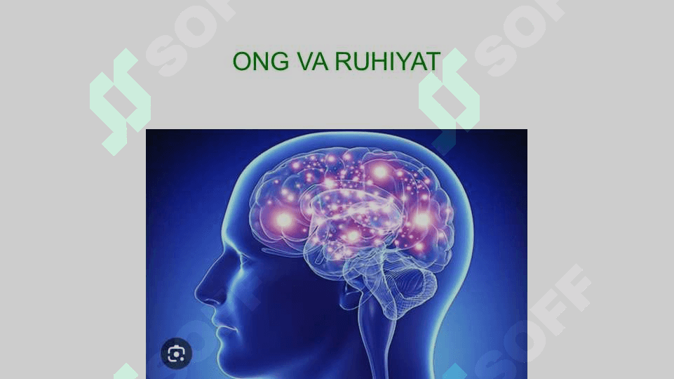 Ong va takfakkur 3