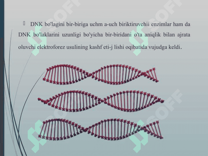 Genlar oilasi va gen injeneriyasi 5
