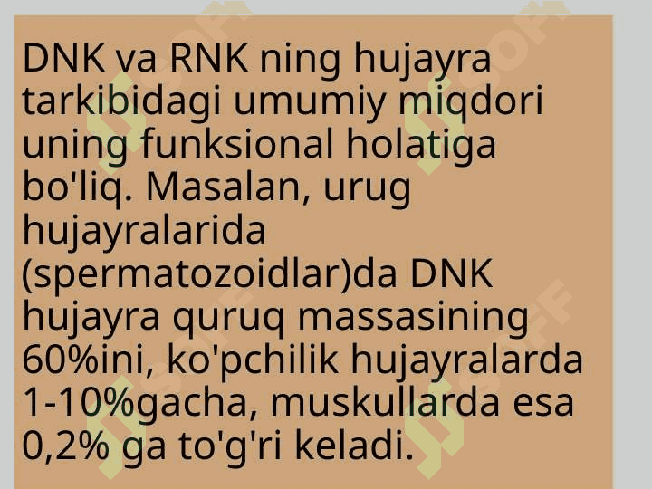 DNK va RNK ning tuzilishi 4