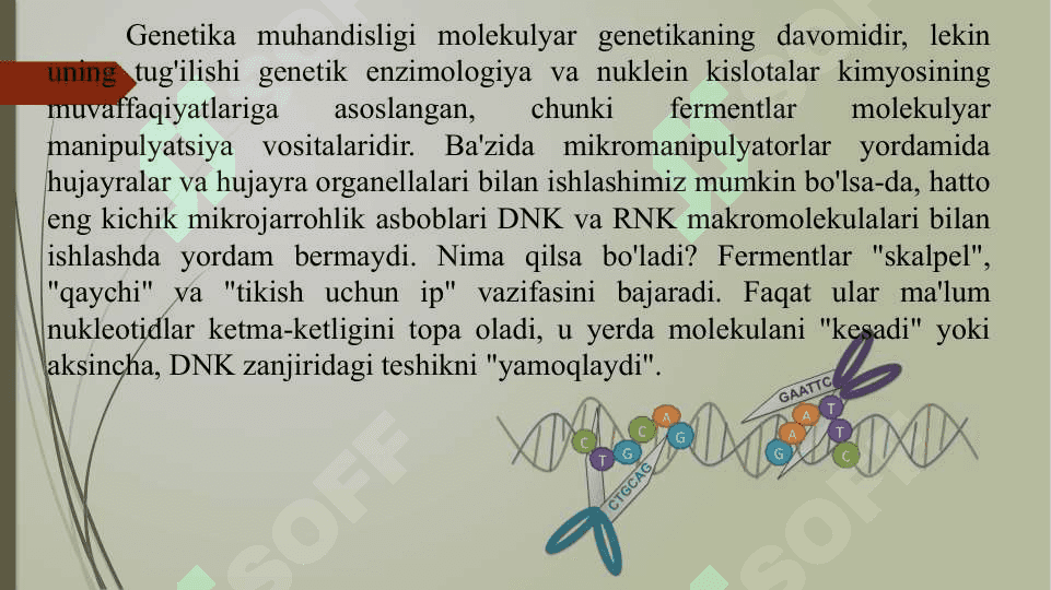Gen muhandisligi fermentlari 2