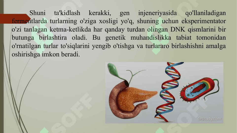 Gen muhandisligi fermentlari 3