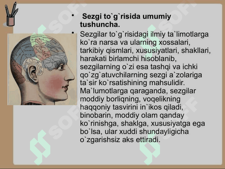 SEZGI 3