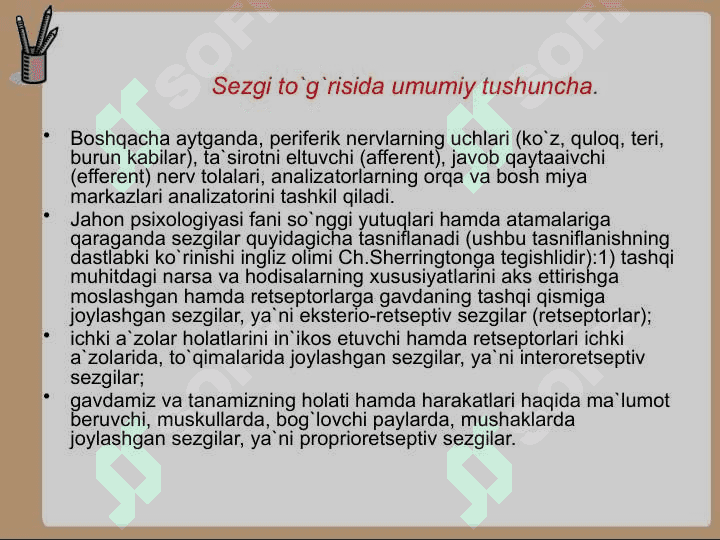 SEZGI 4
