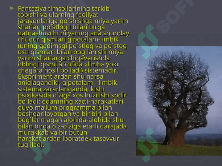 Xayol haqida tushuncha 8