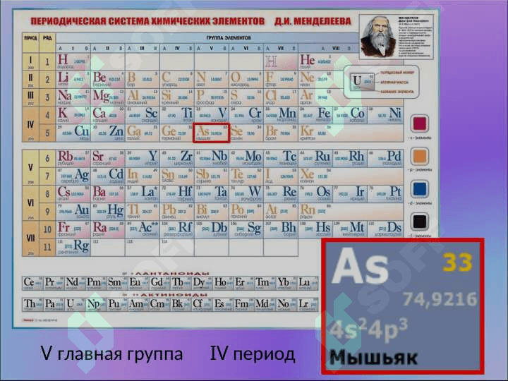 МЫШЬЯК 2
