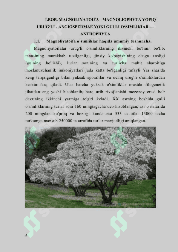 OʻZBEKISTON FLORASIDA AKALIFA, SUTLAMADOSHLAR OILASI 4