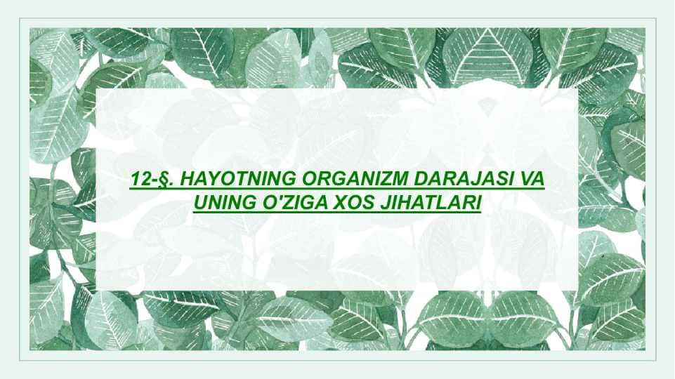 HAYOTNING ORGANIZM DARAJASI VA UNING O'ZIGA XOS JIHATLARI