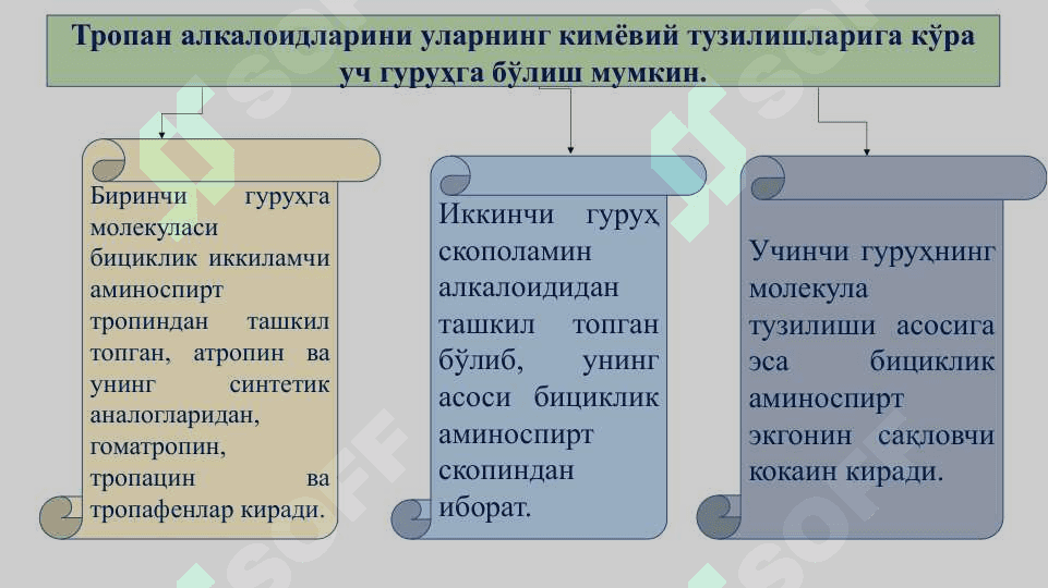 Тропан ҳосилалари 3