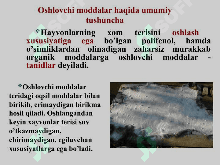 TARKIBIDA OSHLOVCHI MODDALAR  BO’LGAN DORIVOR O’SIMLIKLAR VA  MAHSULOTLAR 3