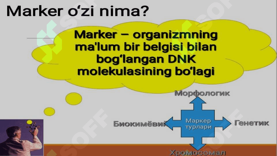 Molekulyar markerlar va ularning qoʻllanishi 3