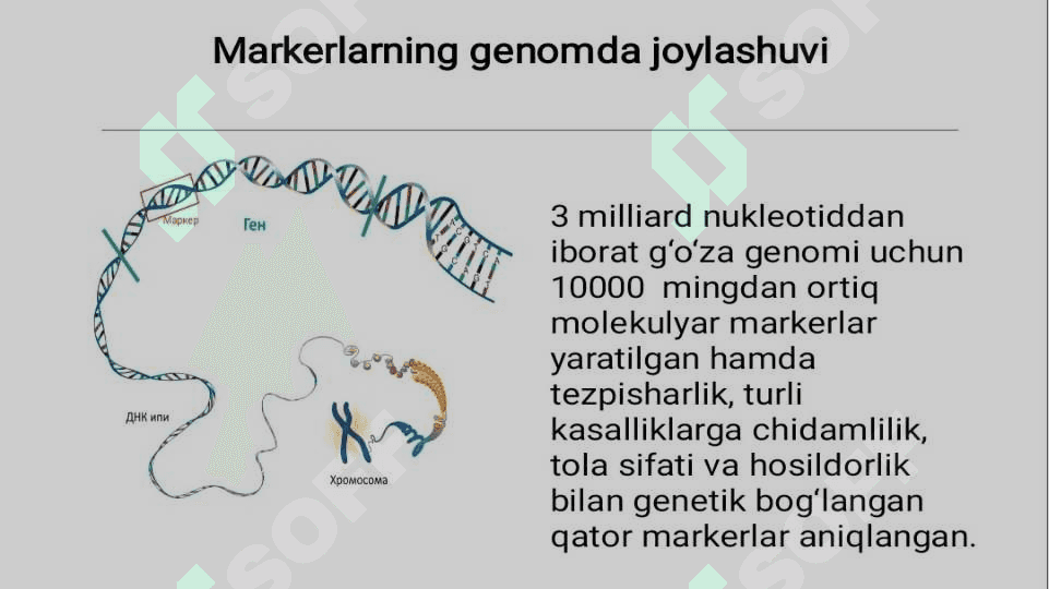 Molekulyar markerlar va ularning qoʻllanishi 7