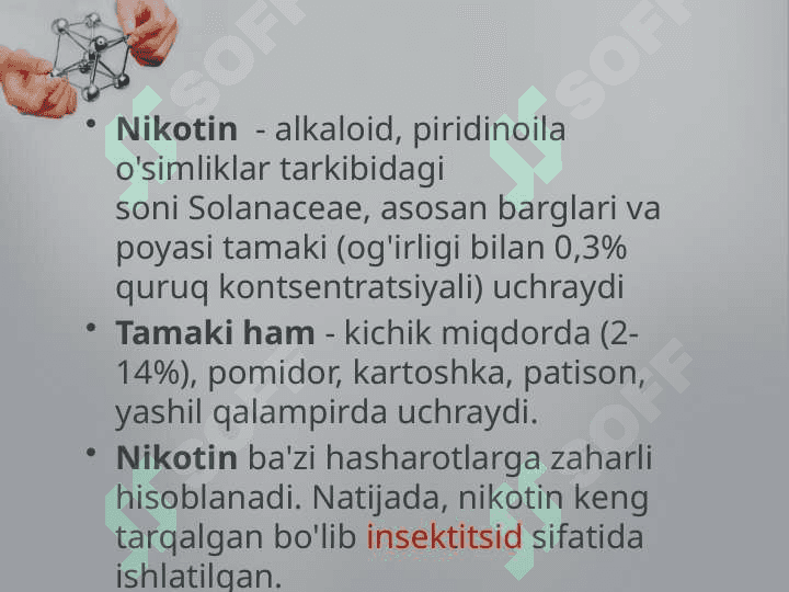 Nikotin 7