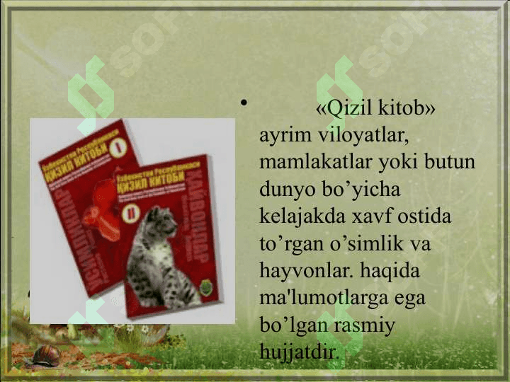 Qizil kitob 2