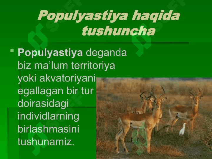 Populyatsiyalar ekologiyasi 2
