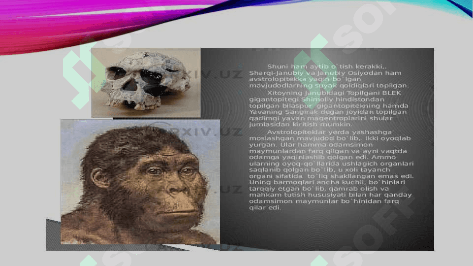 ODAM EVOLUTSIYASI 5