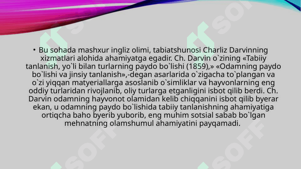 ODAM EVOLUTSIYASI 8