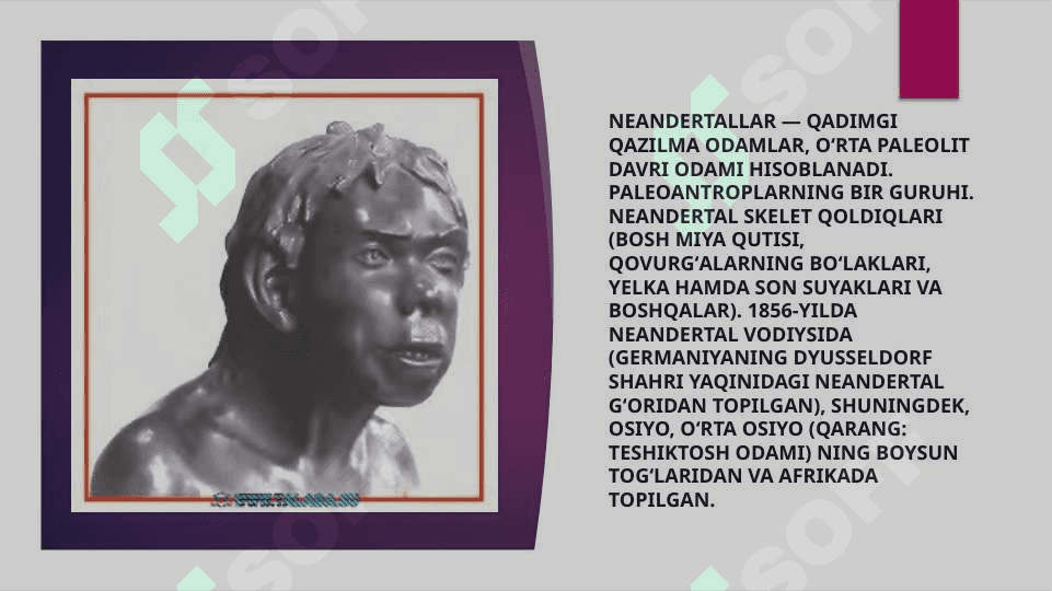 Odam evolutsiyasi.Neandertal odam 2